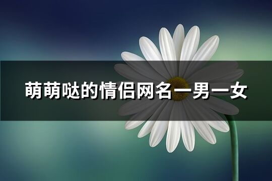萌萌噠的情侶網名一男一女(共75個)