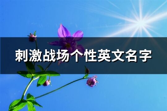 刺激戰(zhàn)場(chǎng)個(gè)性英文名字(精選74個(gè))