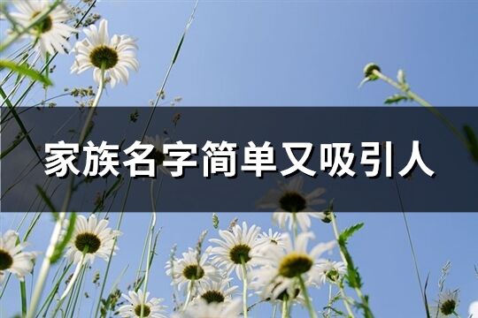 家族名字簡單又吸引人(精選118個(gè))