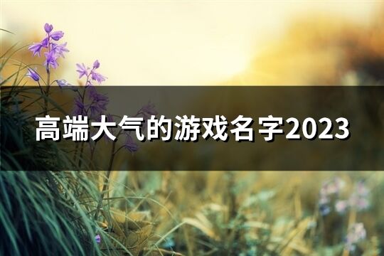 高端大氣的游戲名字2023(48個) 高端大氣的游戲名字2023(48個)