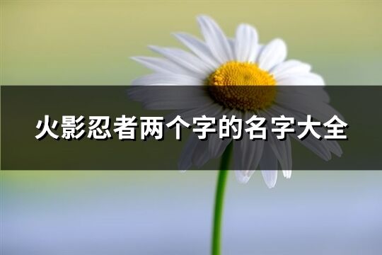 火影忍者兩個字的名字大全(精選534個)