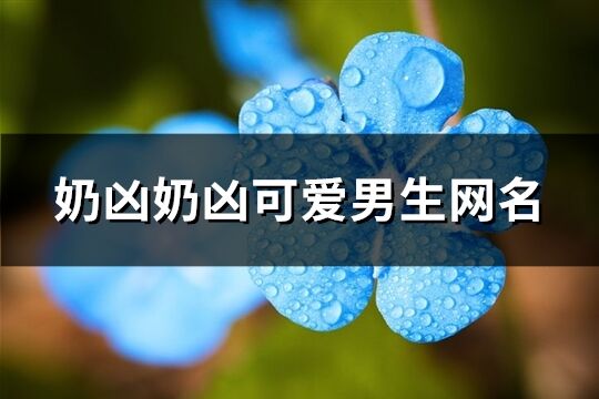 奶兇奶兇可愛(ài)男生網(wǎng)名(共72個(gè))