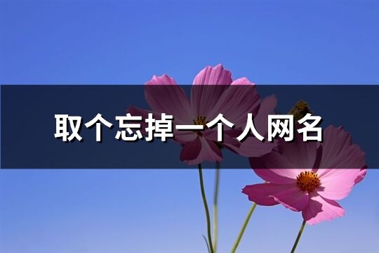 取個忘掉一個人網名(精選122個)