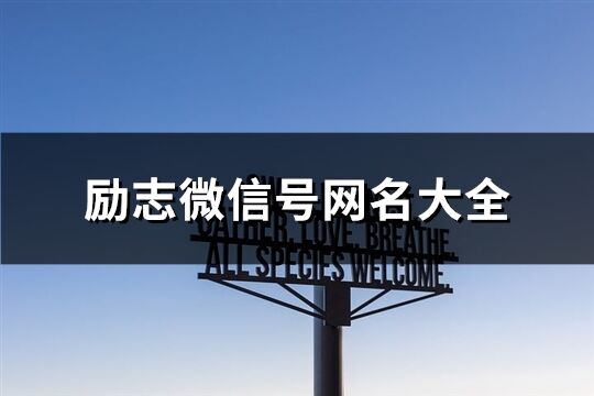 勵志微信號網名大全(315個)