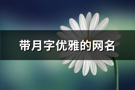 帶月字優(yōu)雅的網(wǎng)名(94個(gè))