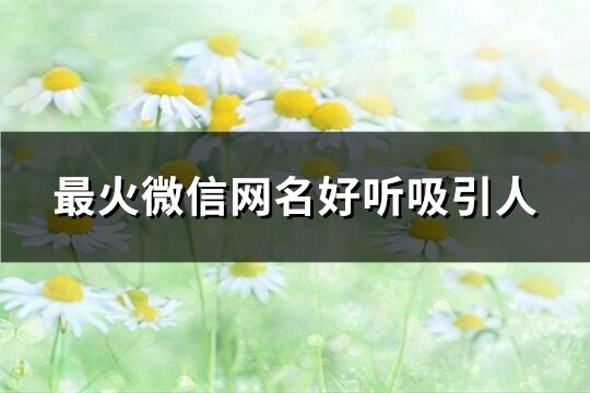 最火微信網名好聽吸引人(精選412個)