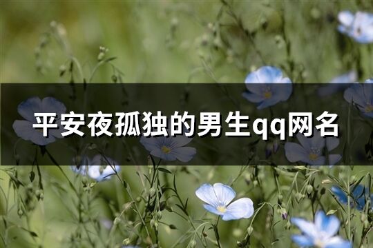 平安夜孤獨的男生qq網名(精選502個)