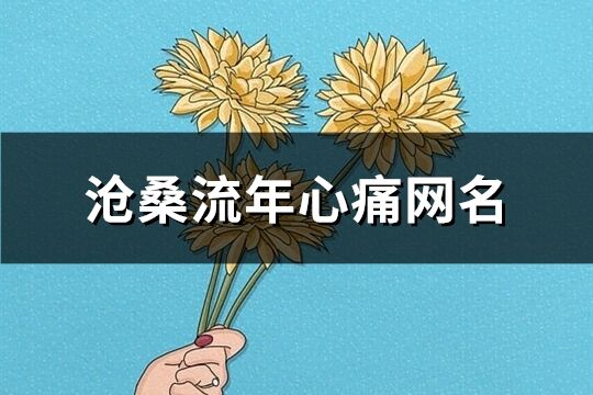 滄桑流年心痛網(wǎng)名(精選555個)