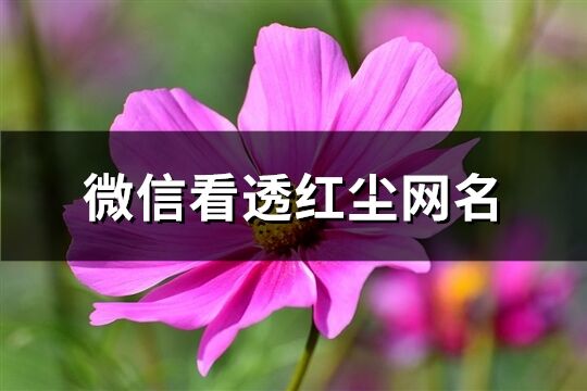 微信看透紅塵網名(精選129個)