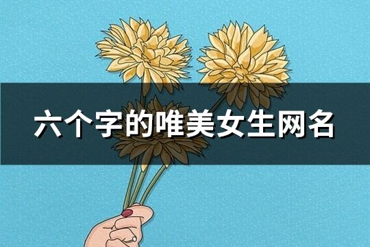 六個字的唯美女生網名(共643個)