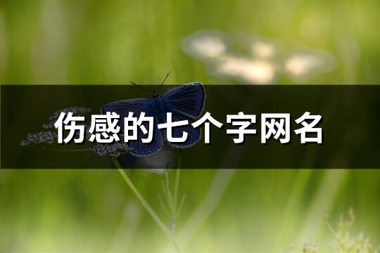 傷感的七個字網名(精選586個)