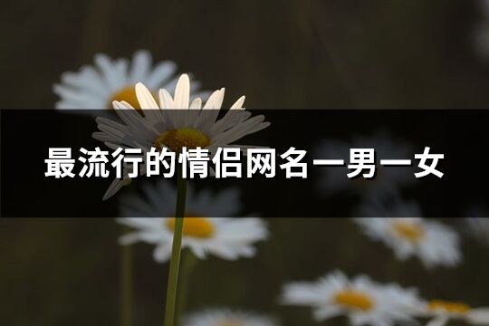 最流行的情侶網名一男一女(精選93個)
