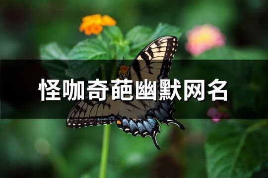 怪咖奇葩幽默網名(341個)