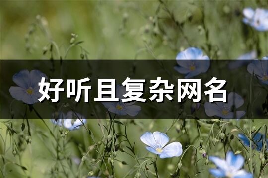 好聽且復雜網名(469個)