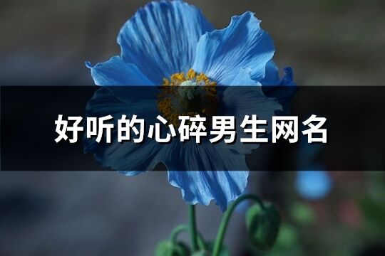 好聽的心碎男生網名(共292個)