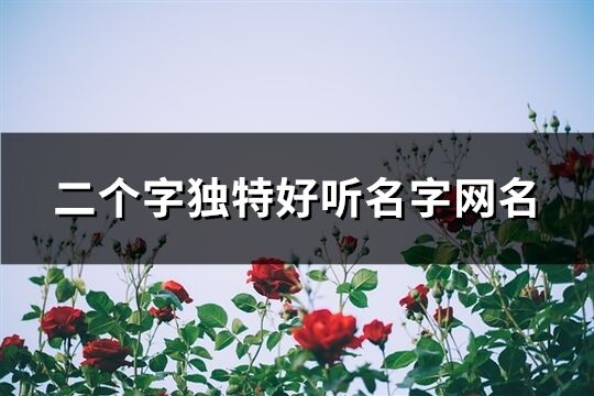 二個字獨特好聽名字網名(1135個)
