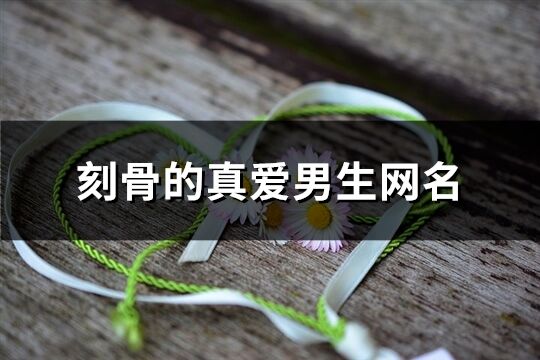 刻骨的真愛男生網名(共225個)