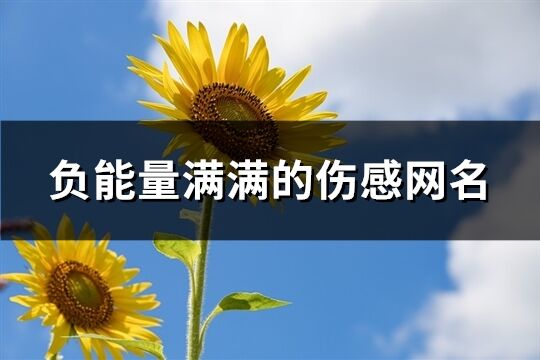 負能量滿滿的傷感網名(344個)