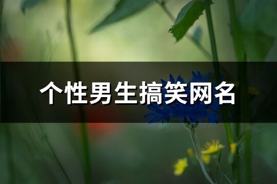 個性男生搞笑網名(159個)
