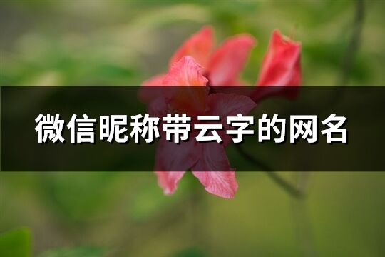 微信昵稱帶云字的網名(255個)