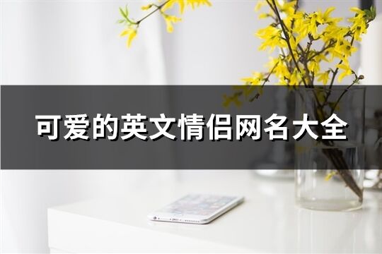 可愛的英文情侶網(wǎng)名大全(共64個)