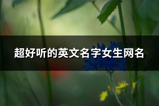 超好聽(tīng)的英文名字女生網(wǎng)名(169個(gè))