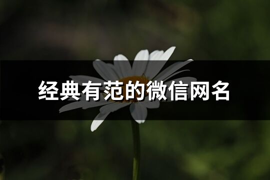 經典有范的微信網名(1830個)