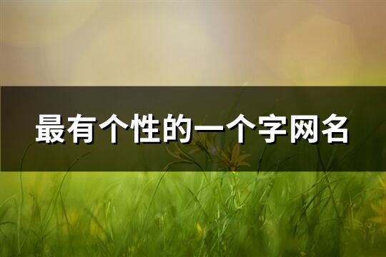 最有個性的一個字網名(精選546個)
