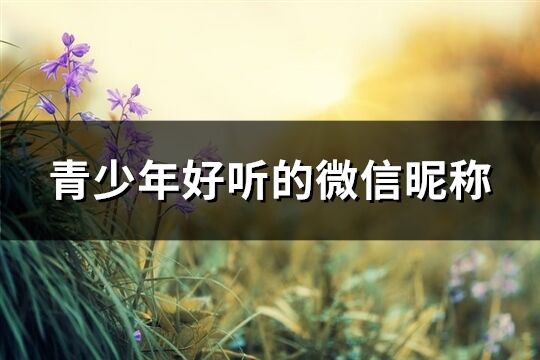 青少年好聽的微信昵稱(精選260個)