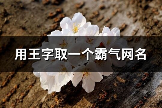用王字取一個霸氣網名(共113個)