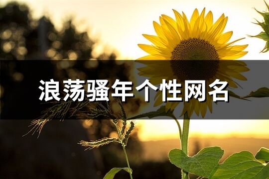 浪蕩騷年個性網名(共184個)