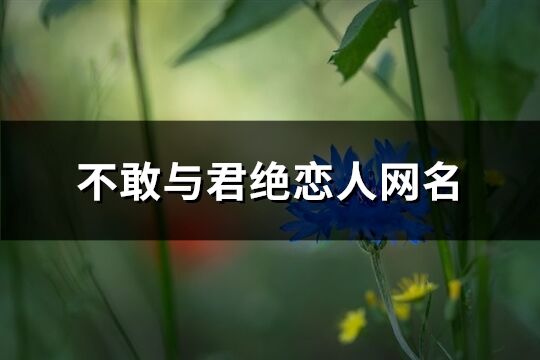 不敢與君絕戀人網(wǎng)名(優(yōu)選138個)