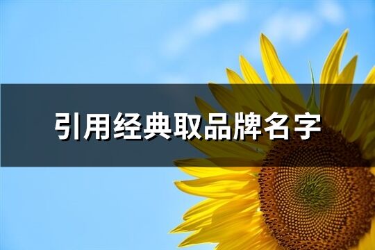 引用經(jīng)典取品牌名字(168個(gè))
