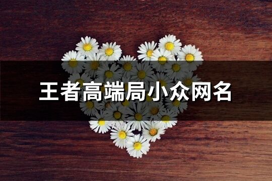 王者高端局小眾網(wǎng)名(共344個(gè))