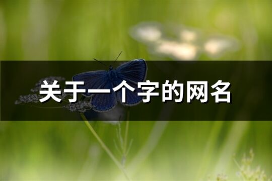 關于一個字的網名(共527個)