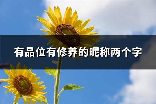 有品位有修養的昵稱兩個字(共647個)