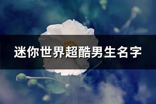 迷你世界超酷男生名字(優(yōu)選226個)