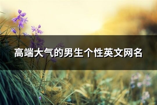 高端大氣的男生個性英文網名(優選276個)
