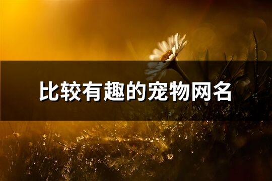 比較有趣的寵物網名(共212個)