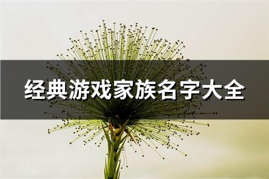 經典游戲家族名字大全(658個)