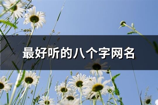最好聽的八個(gè)字網(wǎng)名(共590個(gè))