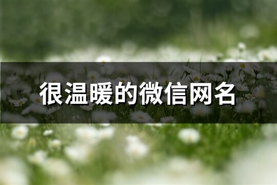 很溫暖的微信網名(精選837個)