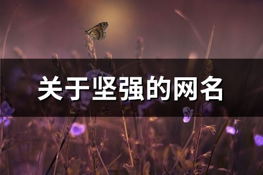 關(guān)于堅強的網(wǎng)名(共258個)