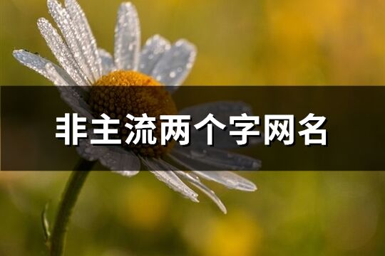 非主流兩個字網名(精選566個)