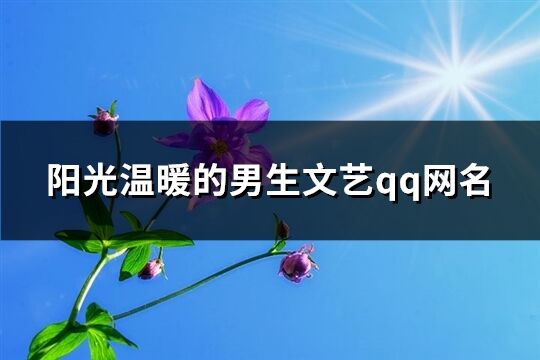 陽光溫暖的男生文藝qq網名(817個)