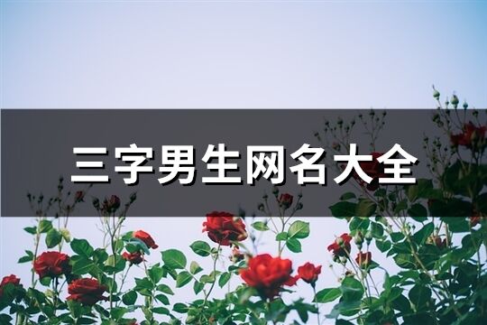 三字男生網名大全(共1395個)