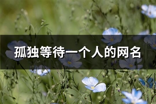 孤獨等待一個人的網名(精選631個)