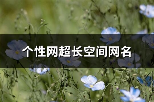 個性網(wǎng)超長空間網(wǎng)名(共762個)