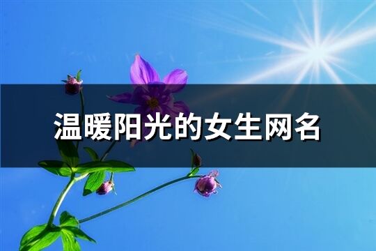 溫暖陽光的女生網名(共512個)