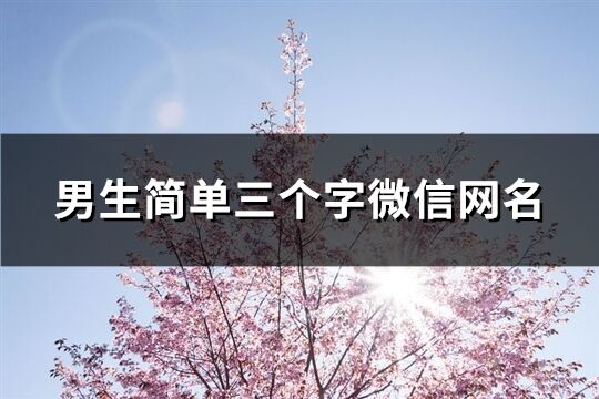 男生簡單三個字微信網名(共813個)